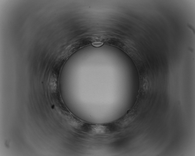 X0000101110226200807031747