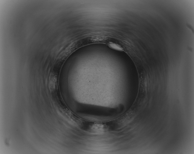 X0000101110227200807031747