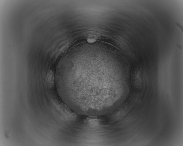 X0000101110228200807031747
