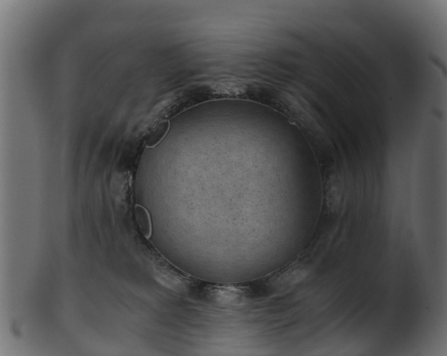 X0000101110229200807031747