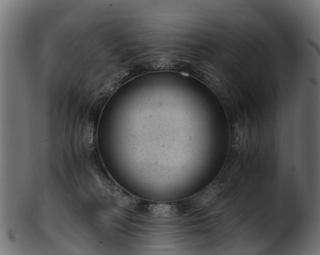 X0000101110230200807031747