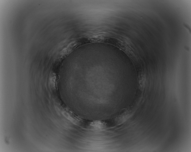 X0000101110231200807031747