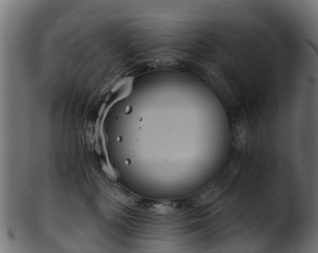 X0000101110232200807031747