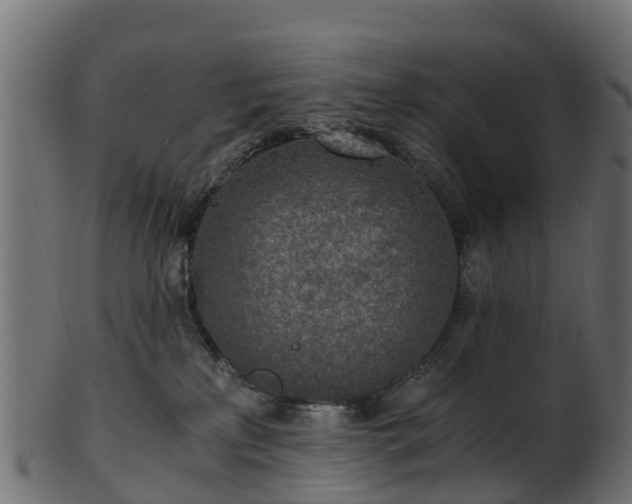 X0000101110233200807031747
