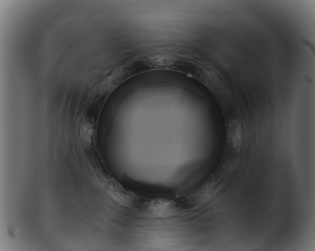 X0000101110235200807031747