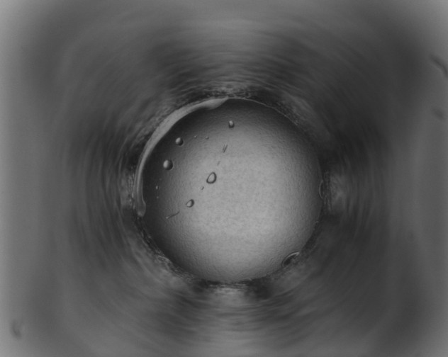 X0000101110236200807031747