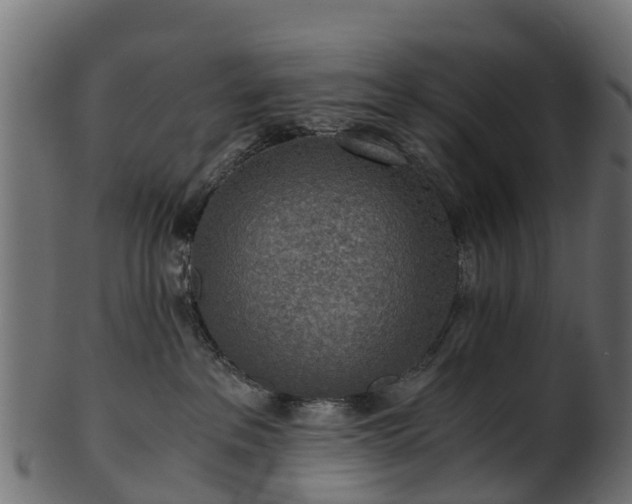 X0000101110237200807031747