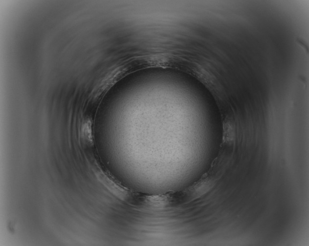 X0000101110238200807031747