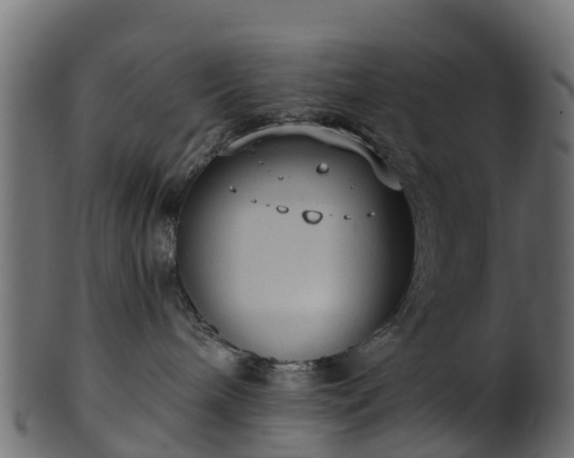 X0000101110240200807031747