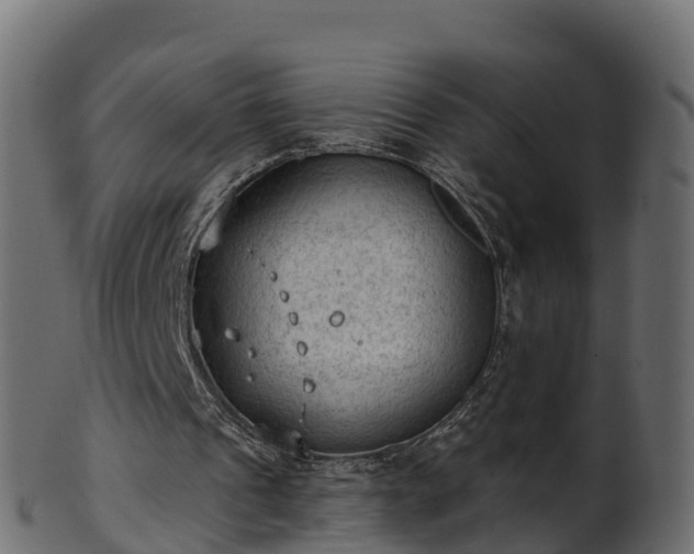 X0000101110241200807031746