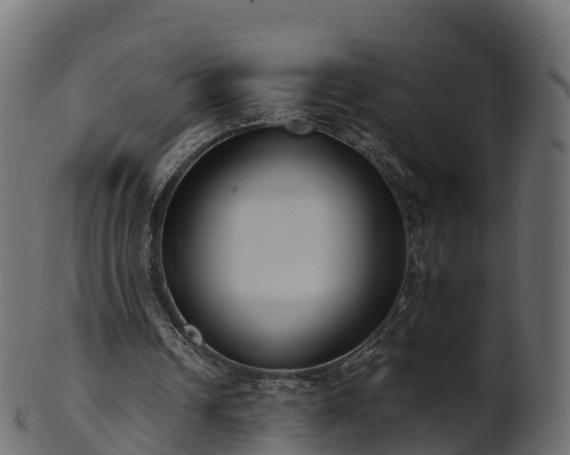 X0000101110242200807031746