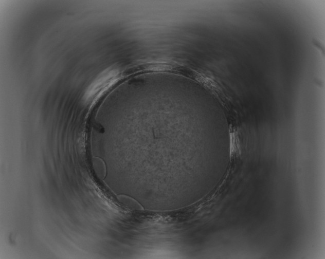 X0000101110243200807031746