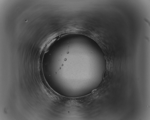 X0000101110244200807031746