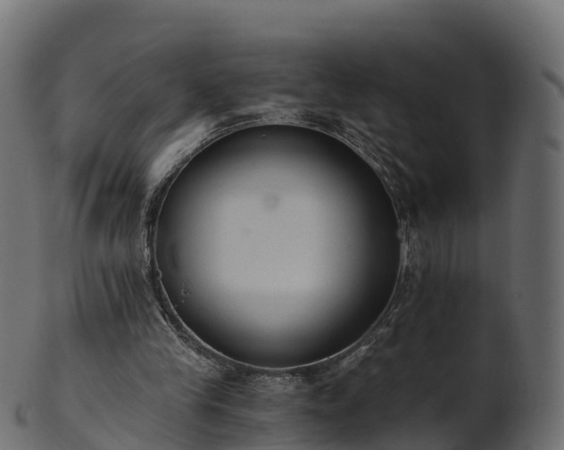 X0000101110245200807031746