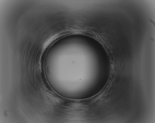 X0000101110246200807031746