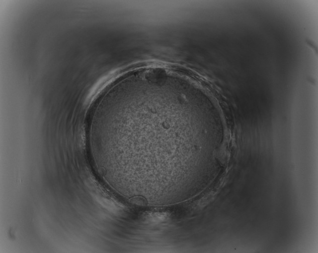X0000101110247200807031746