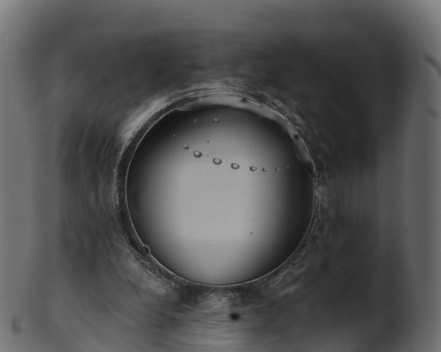 X0000101110248200807031746