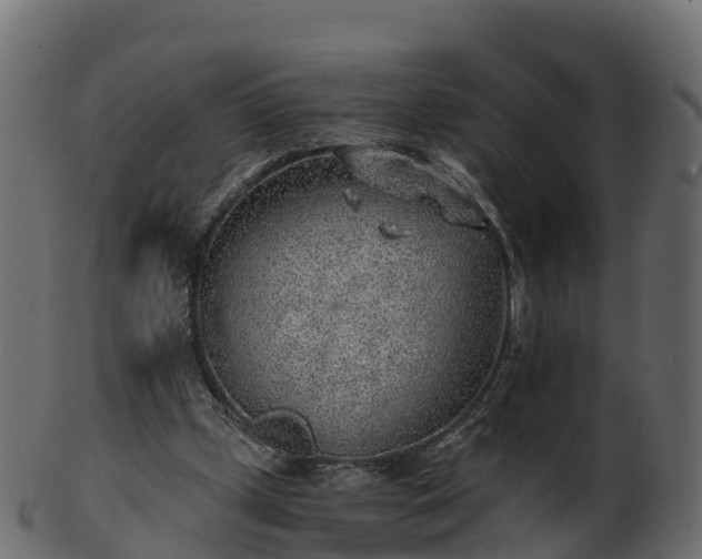 X0000101110249200807031746
