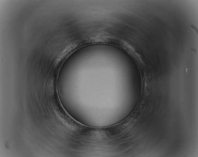 X0000101110250200807031746