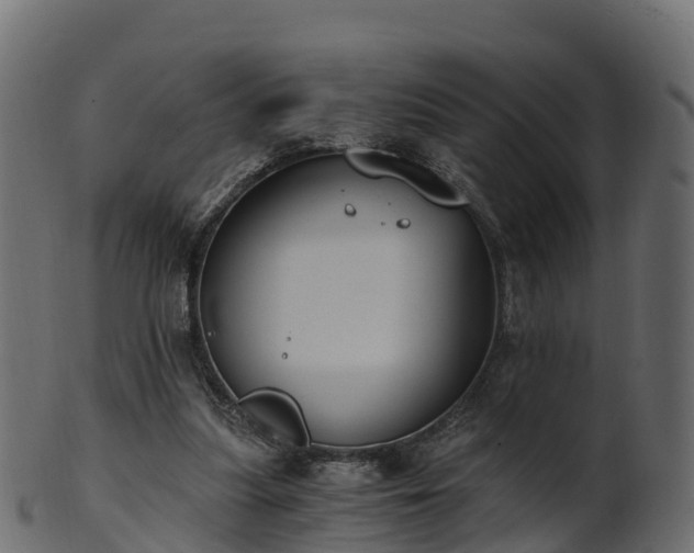 X0000101110251200807031746