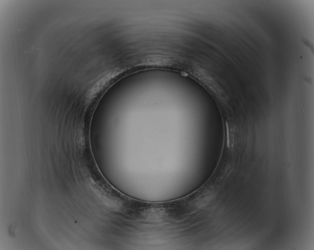 X0000101110252200807031746
