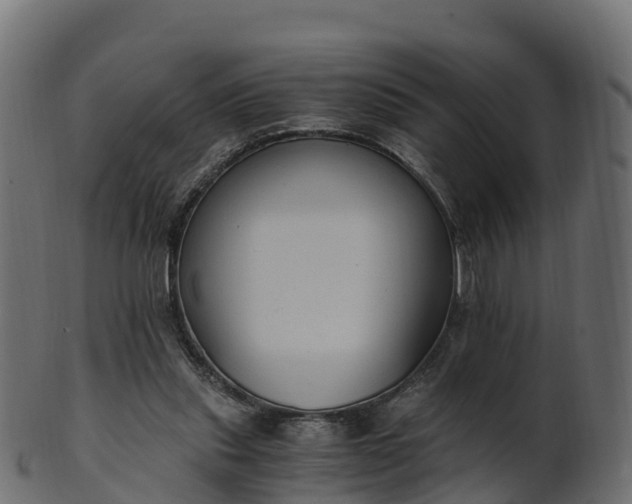 X0000101110253200807031746