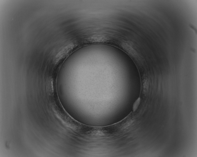 X0000101110254200807031746