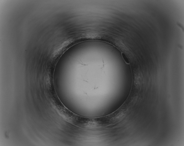 X0000101110256200807031746