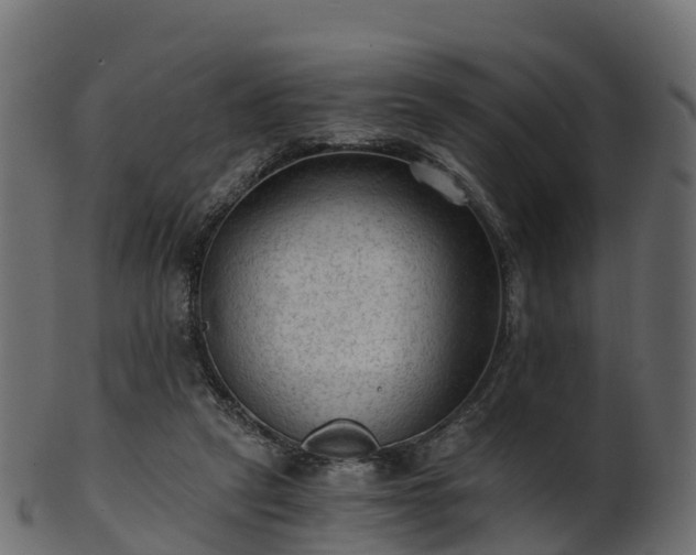 X0000101110257200807031746