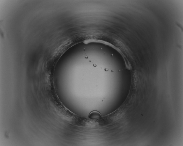 X0000101110258200807031746