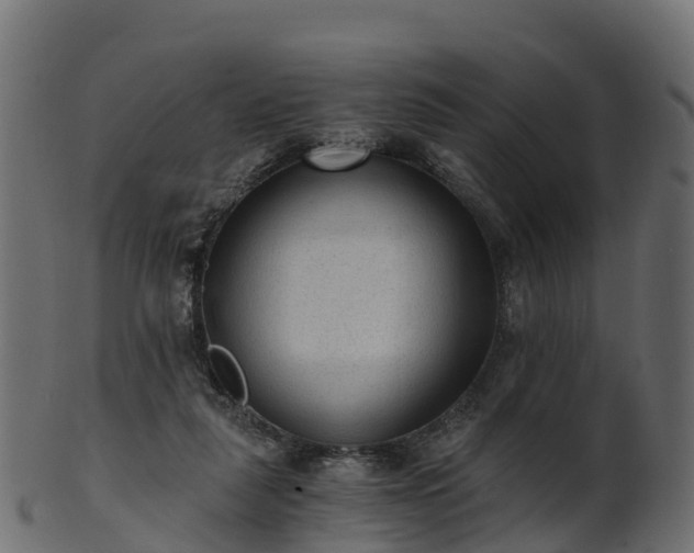 X0000101110259200807031746