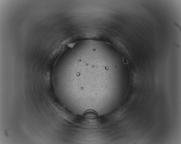 X0000101110260200807031746