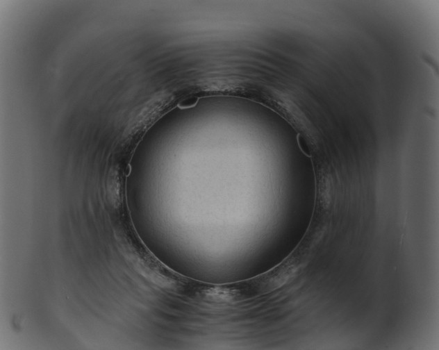 X0000101110261200807031746