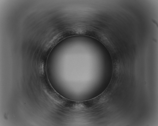 X0000101110262200807031747