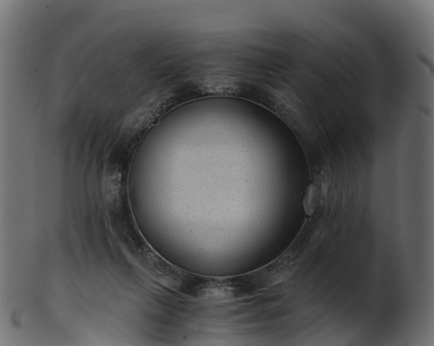 X0000101110263200807031747
