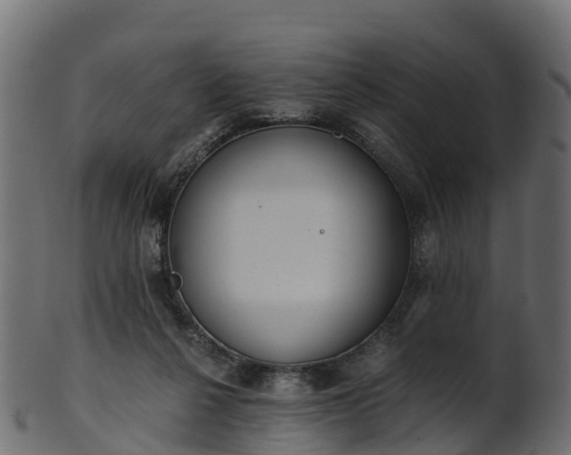 X0000101110264200807031747