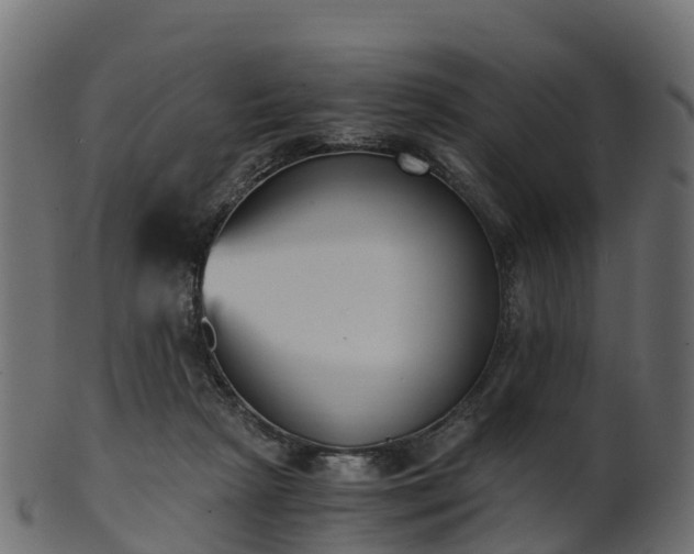 X0000101110265200807031747
