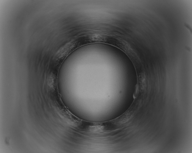 X0000101110266200807031747