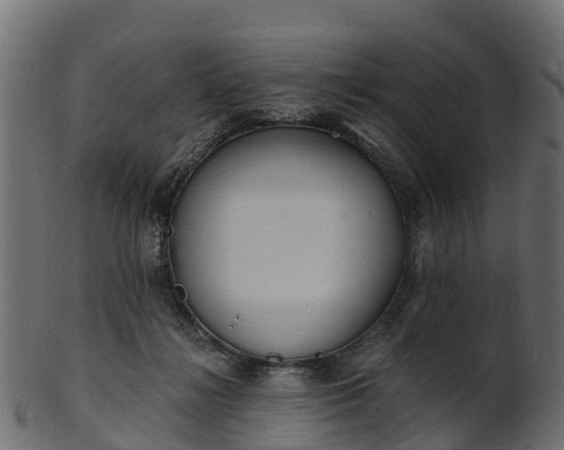 X0000101110268200807031747