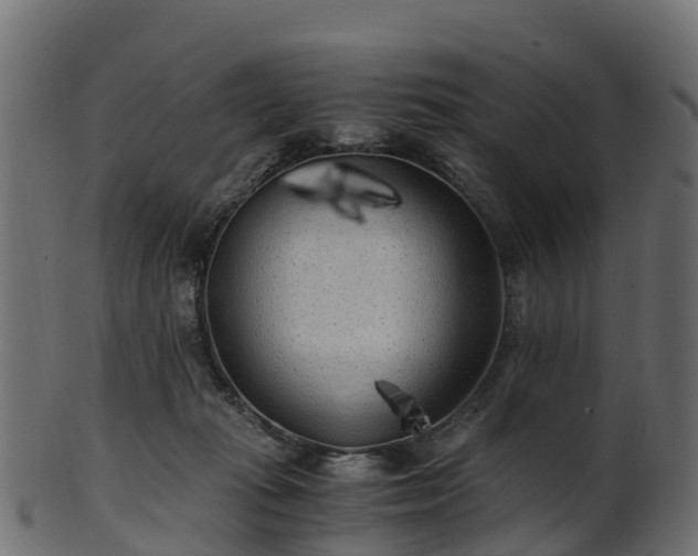 X0000101110269200807031747