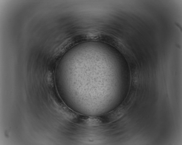 X0000101110270200807031747