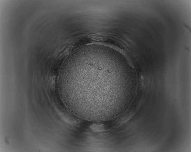 X0000101110271200807031747