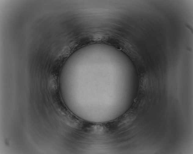 X0000101110272200807031747