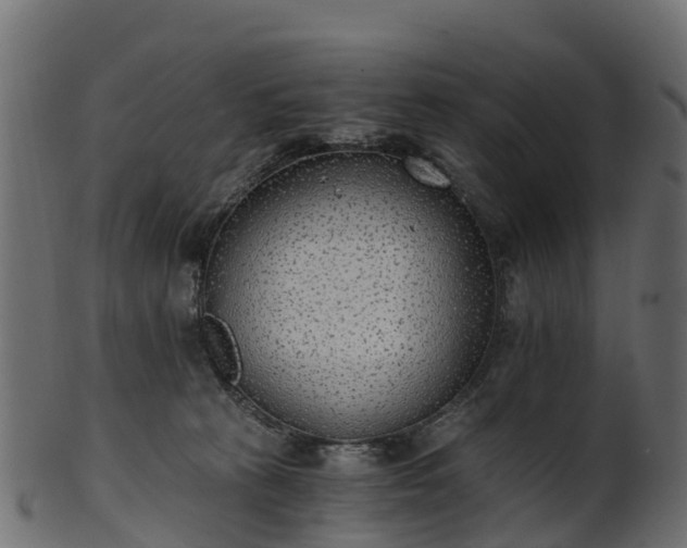X0000101110273200807031747