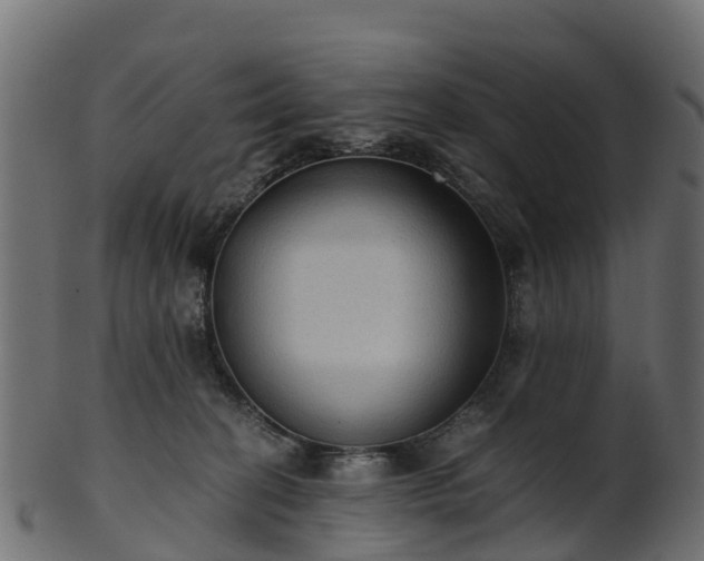 X0000101110274200807031747