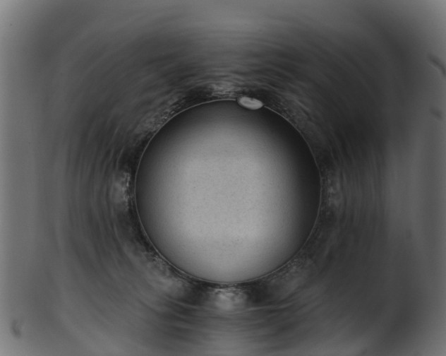 X0000101110275200807031747