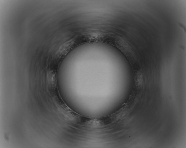 X0000101110276200807031747