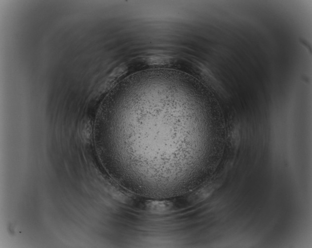 X0000101110277200807031747