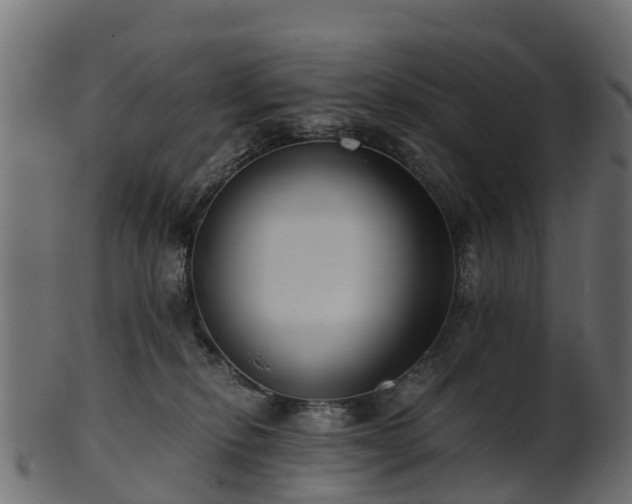 X0000101110278200807031747