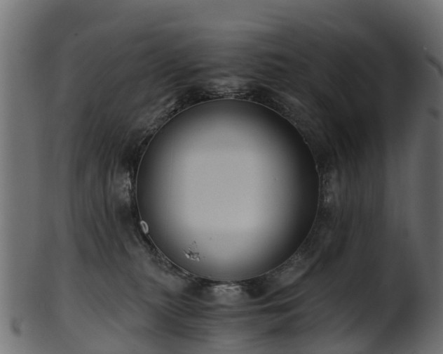X0000101110279200807031747
